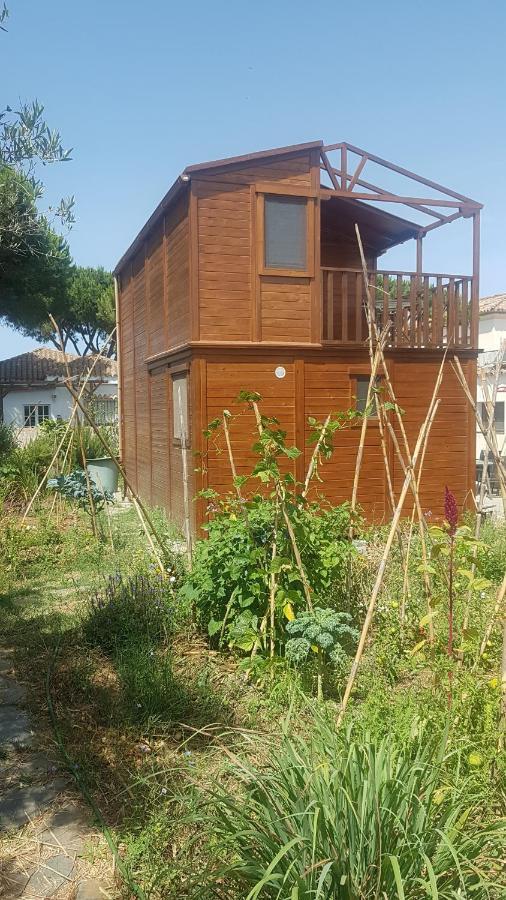 Вилла Casa De Madera De Sancti Petri Чиклана-де-ла-Фронтера Экстерьер фото
